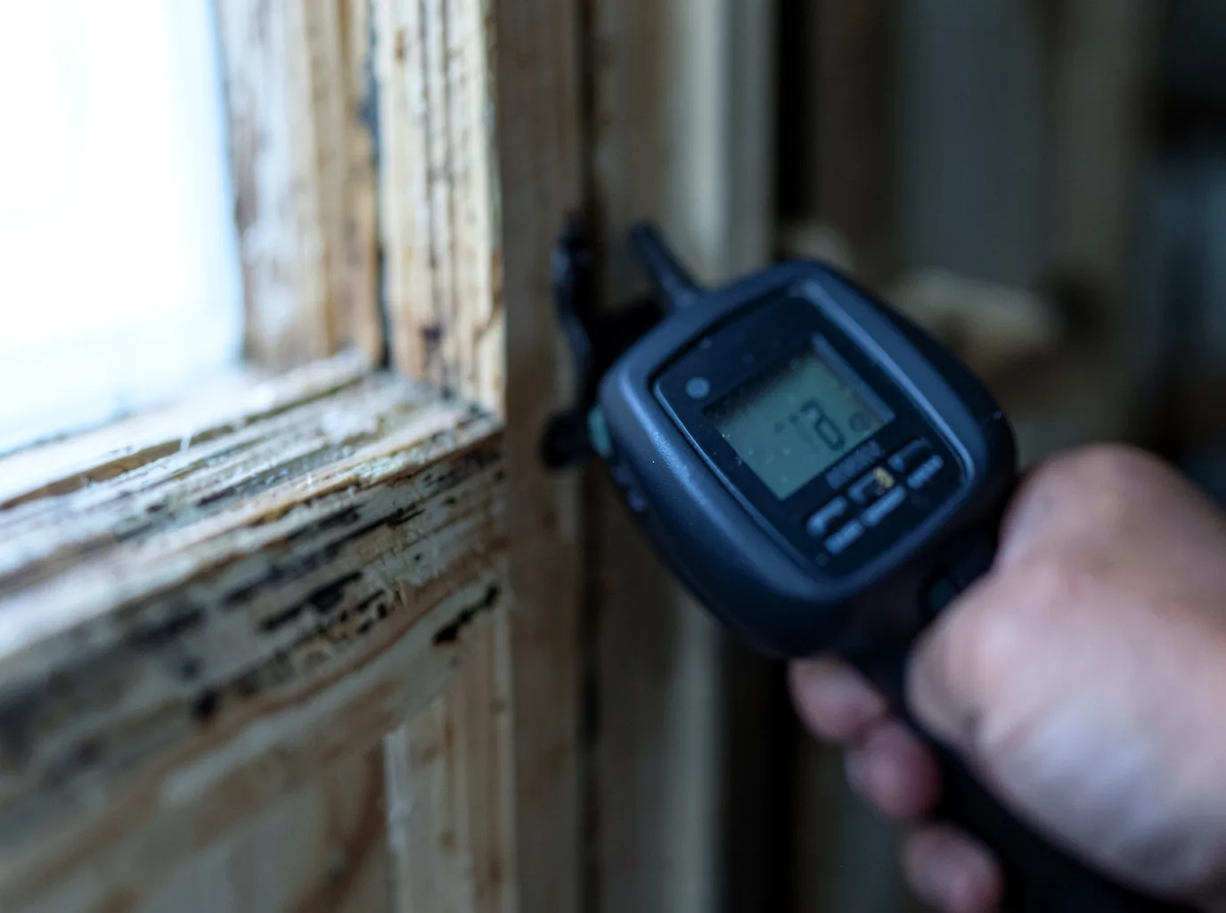 Moisture Inspection And Documentation in Cascade Locks, OR